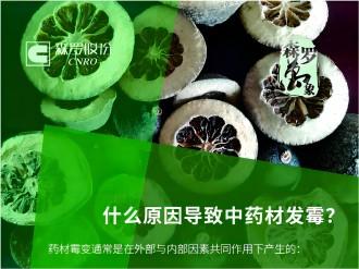 《森羅萬象》，萬象包羅 第4問