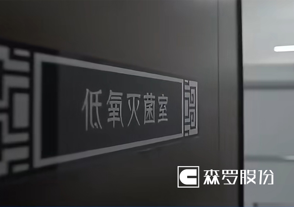 淮南市博物館（武王墩墓）